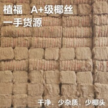 椰丝垫料天然椰棕丝纤维草花盆填充园艺铺面椰壳鸟巢椰丝盆栽用
