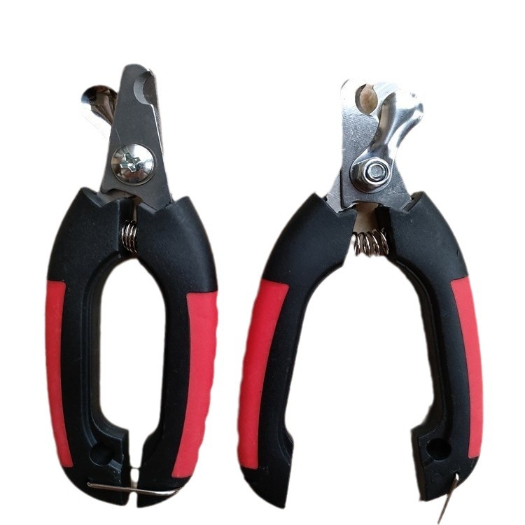 2024-03-11 19:42:34.jpg