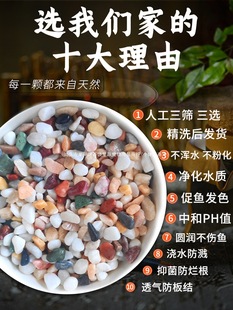 Natural Rain Flower Stone Original Stone Fish Tank Bottom Sand Volcanic Stone Landscape Small Stone Decoration Colorful Stone Five Flowers Stone Jump Pet