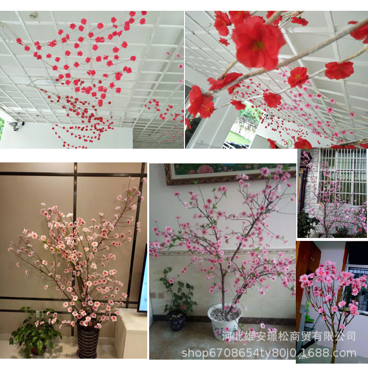 O1CN01rUMrlE1T1yYF11u6w_!!7768