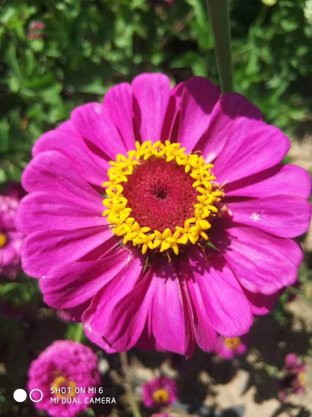 86de427e1aeaf57e06520b670f4c31