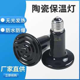爆款爬虫用品陶瓷加热灯陆龟蜥蜴蜘蛛蛇陶瓷保温灯宠物保暖加热灯