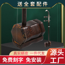 鸡翅木二胡乐器民族成人儿童初学练习琴厂家批发一件代发全套配件