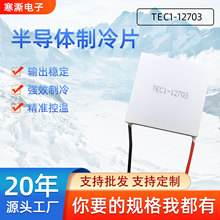 �ֻ�TEC1-12703ϵ���ֻ�40*40*4.0�L��ʪ����ˮ������Ƭ