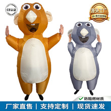 �羳��ͨ��������ż�� �f�}���Ɍ����� Դ�^���S�F؛���l