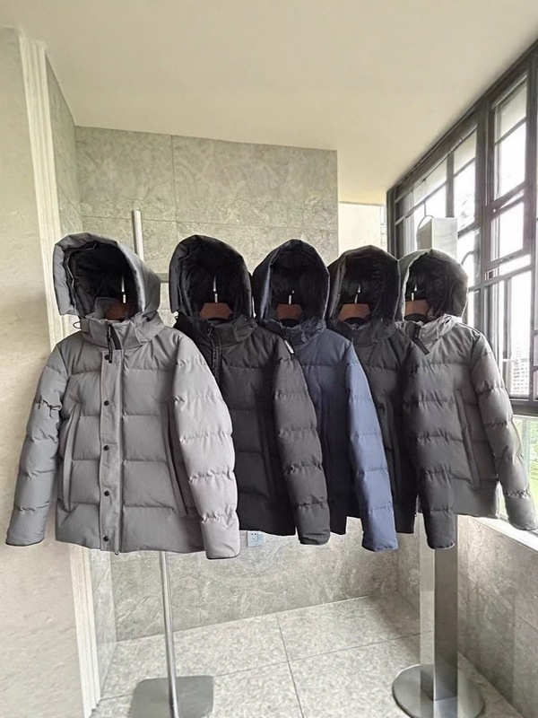 大鹅2048新款连帽白鸭绒羽绒服男女冬季加厚保暖外套简约百搭|undefined