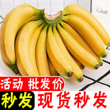 �쌚�㽶��ɽ���㽶�������rˮ���ЋD�Fժ��Ȼ�����ྲྀ���l�ྲྀ