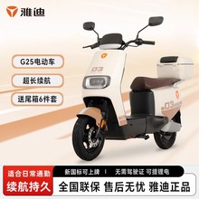 ŵϵ綯G25-H˵ƿг2024¿絥С¿