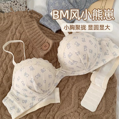【BM风小熊】内衣女小胸聚拢显大文胸套装无钢圈女士胸罩2025新款