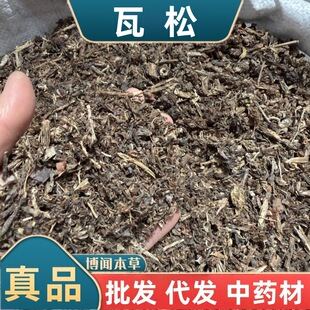 ������ș�� ���ɲ� �߻�����������F�����߻�����������䱳ș��