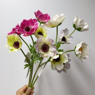 �Wʽ�yɏ�����滨  ��Ʒ�|�b����{ɫ��ɫ��ˇ����zӰ���յ���