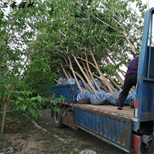 �V��ɣ���е������~�͈@�ֆ�ľɣ驾G����ľ��ɣͥԺ���@����