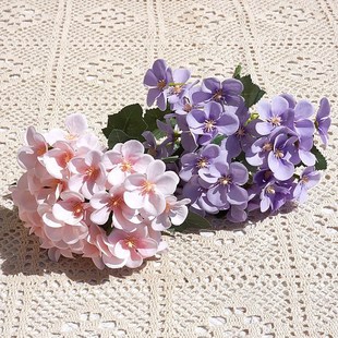 �nʽС������5�溣�Ļ� �ٻ����滨�ҾӔ[�Ż� ��cӰ���b���