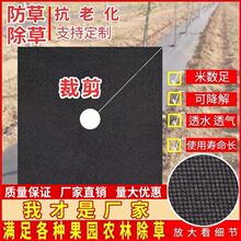 新型防草布除草布批发透气透水槟榔树果树农用地膜盖草布厂家直销