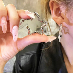 女性用スターピアス、ニッチ、軽い高級感、シンプル、高級ピアス、人気の万能ピアス、絶妙な気質ジュエリー
