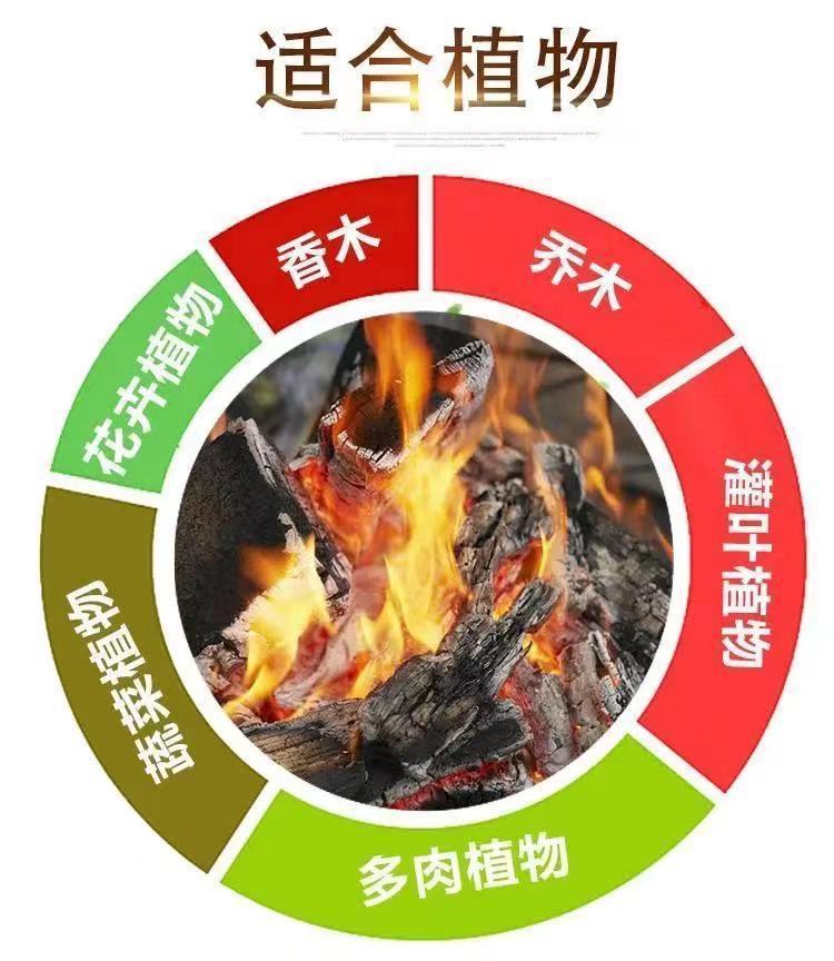 44bb0d8e-5f48-40b9-b86c-3b8f292aff2d.jpe