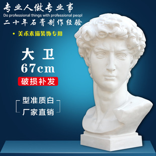 David Plaster Head Art Teaching Aids Sketch Large Character Model Portrait Still Life Sculpture Decorative Ornaments Statue