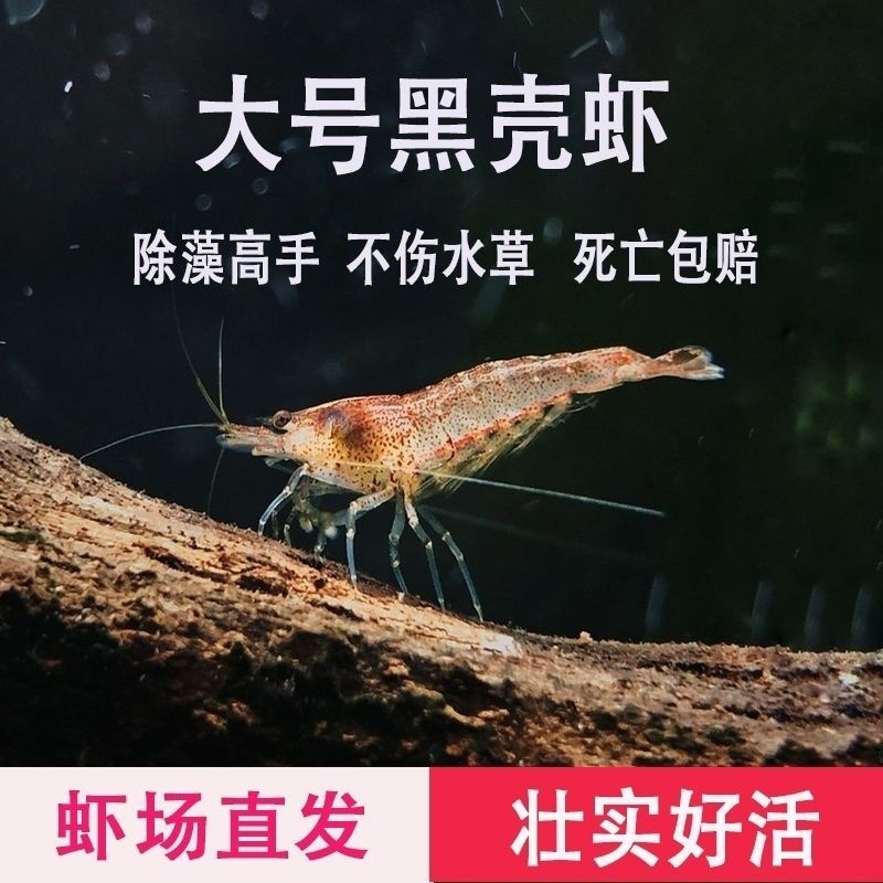 d7beb3e5-2262-4930-867a-81a639b3e211.jpe