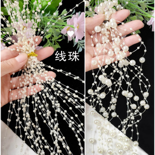 10�l�b�M���ǘ�֬�A�������朗l�A���~��������l�ֹ��^����