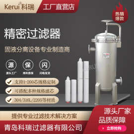 不锈钢304精密过滤器生物发酵液过滤设备PP微孔折叠滤芯过滤机