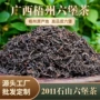 广西梧州制作散装六堡茶