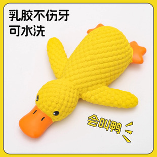 ������߽␞��������u�l��ҧĥ�����������Ȯ�»�С��Ȯ��Ʒ