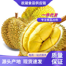 �M�ڽ�����ɏ ���l2/10����Ŵ������ɏA�����rˮ������������ɏ