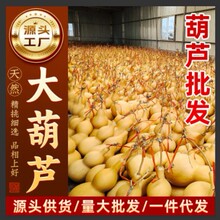 ��Ȼ���J����Ȼ�[�����J��ؔ����J�������Ȼ���^���J�Ї��Y���P