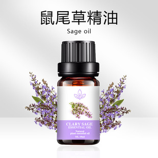 ��β�ݾ���ֲ������޹���Ϳ羳���R�d��������͏S��10ML��β����