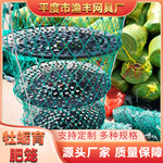 批发养殖渔网扇贝笼10-20层出口南美牡蛎扇贝苗笼手工编织育肥笼