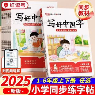 2024 write Chinese characters in grade one, two, three, four, five, six, first volume, Chinese and English synchronous practice copybook for People's Education Edition