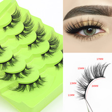 5��װ�ɷֶ�3D�ٽ�ë��Ȼ���˾��̶�ë�۽�ë���������羳��Դ