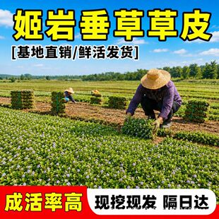 ���Ҵ���Ƥ�ر��Gֲ��ͥԺ�G���༾�_�����ƺ���`̤�ͺ�������