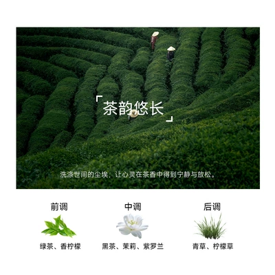 Car Perfume Aromatherapy Car Air Freshener Solid - guanshanlong-lasting-tea-flavor-1-bottle