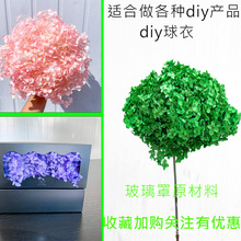 羳520ͷλdiyֹϰװƷ