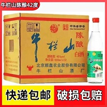 ţ��ɽ�ᄶ���^42/52�Ȱ�ţ����������Ͱ׾�500ml12ƿ���]
