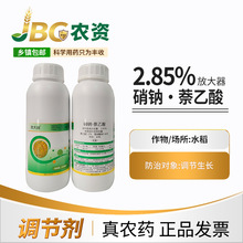 Ŵ 2.85% c· ˮ-1000ml