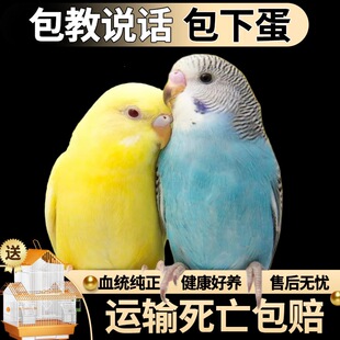 �����W�fԒ���W�^���B��Ƥ�W�^�B�С�B���B����С���W�^һ��һĸ