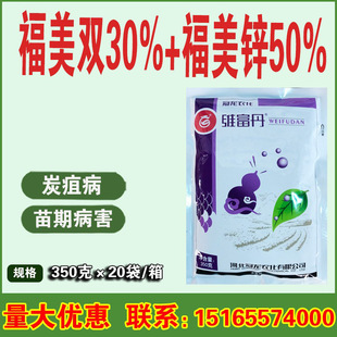 ����̿�Ҹ���80%�����p�����\ ���z�O�����S����̿�Ҳ��rș������