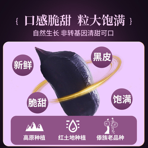 Yunnan Academy of Agricultural Sciences new black peanuts in shell raw fried black peanuts Pu'er specialty rich black skin selenium peanuts