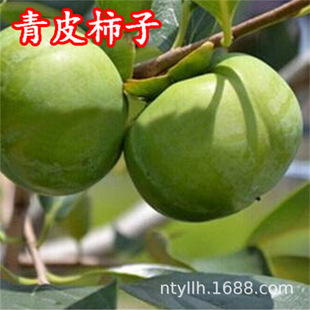 �����Ә��m �޽Ӻ�ɫ�����m����o���ڴ������ϱ����Nֲ����Y��