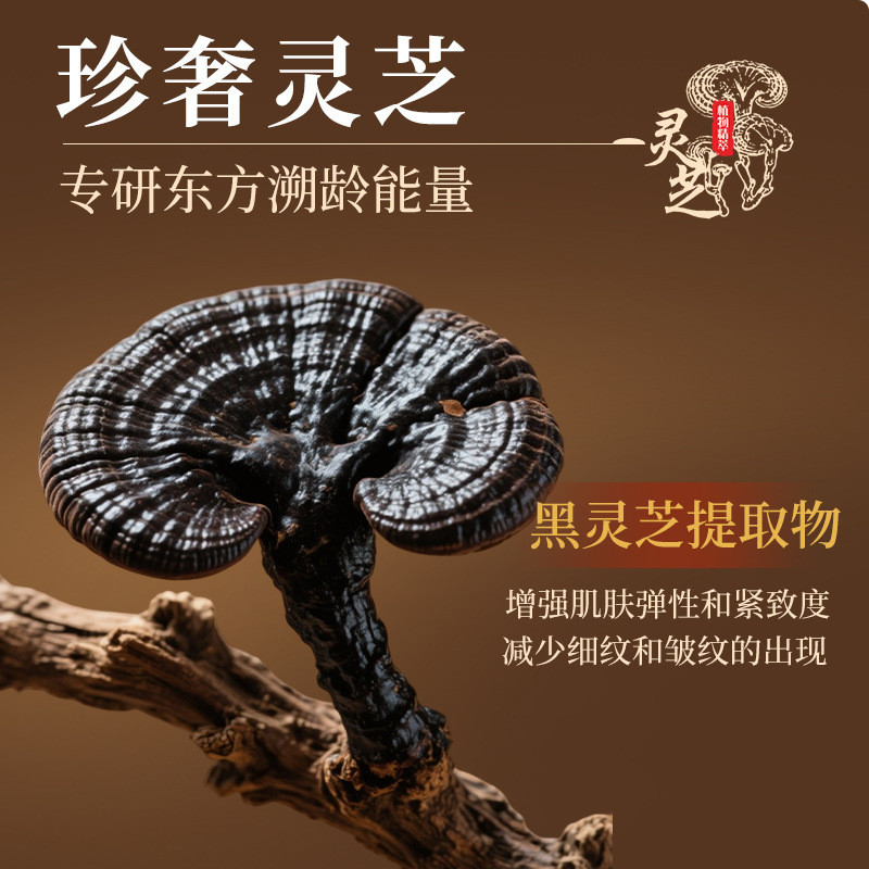 iOEO灵芝悦颜抗皱紧致精华液 抗皱紧致淡细纹保湿面部精华液批发|undefined