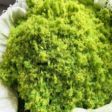 ����ֲ�që̦�\�۵�̺��ƺ������̦�۠��@��ܛ�b��ɽɳ�P�����쾰