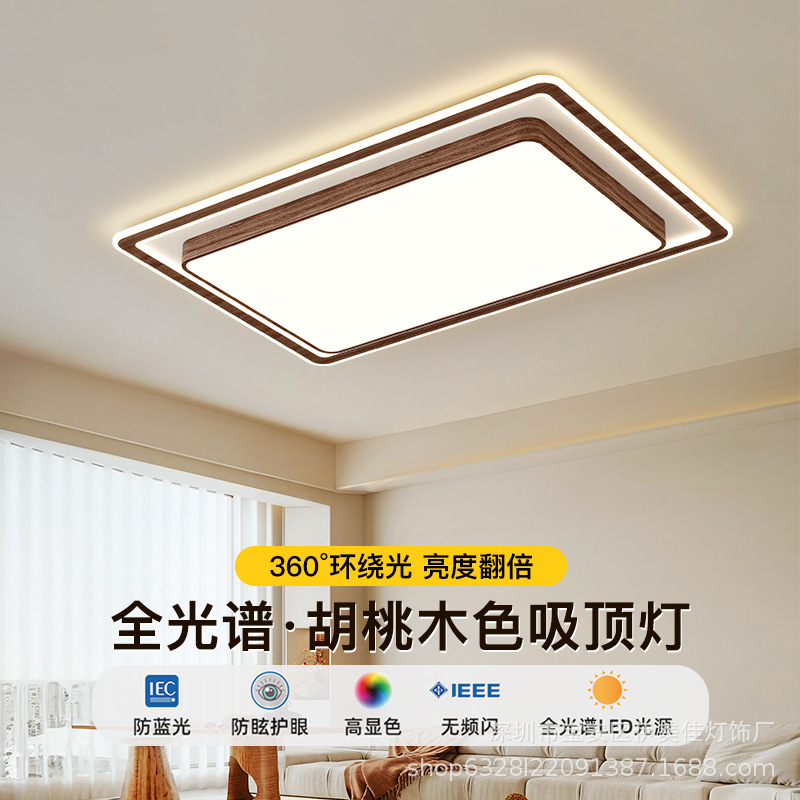 Ceiling light for living room for bedroom