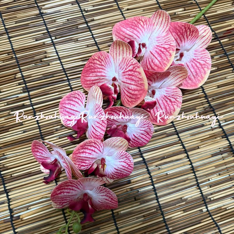 仿真花蝴蝶兰古风中式圆托盘婚鞋展示婚礼拍照神器鞋子展示托|undefined