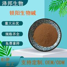 锁阳生物碱98%沙漠锁阳提取物锁阳碱 锁阳粉泽邦供应现货包邮