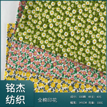 �����黨���� 40֧ӡ��ȫ�޲��� ����Ů�b�B��ȹС�黨��ƥ