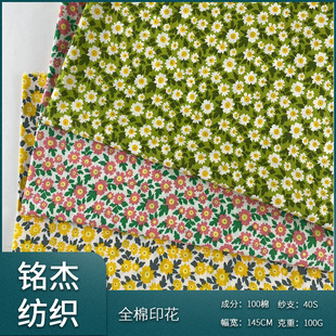 �����黨���� 40֧ӡ��ȫ�޲��� ����Ů�b�B��ȹС�黨��ƥ