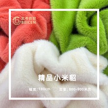 现货小米貂时尚毛绒高低水貂毛面料银兰欧貂金貂绒仿水貂绒布批发
