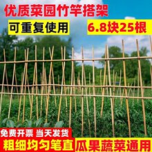 竹竿菜园搭架蔬菜黄瓜番茄豆角架杆竹篱笆栅栏小竹子细竹竿爬藤架